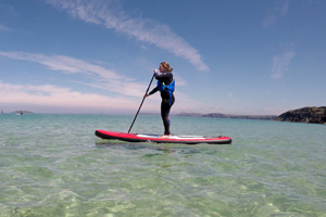 Stand Up Paddle Boards Or SUPs Inflatable and Rigid Boards 
